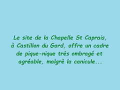 25.06.29 pique-nique champêtre
